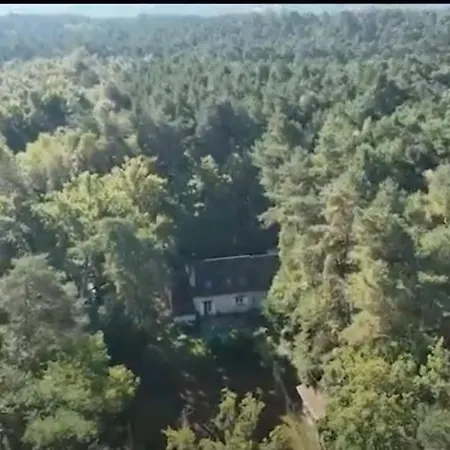 Tatil Evi Rustic Forest House, Barbizon