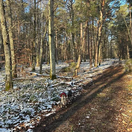 Tatil Evi Rustic Forest House, Barbizon Arbonne