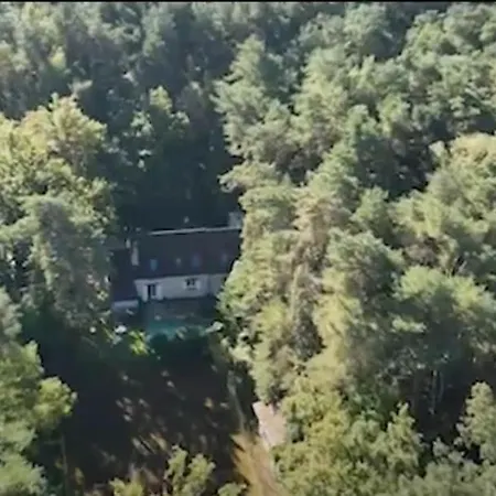 Rustic Forest House, Barbizon *